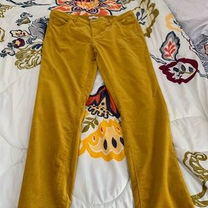 NWT Ann Taylor Skinny Corduroy Pants